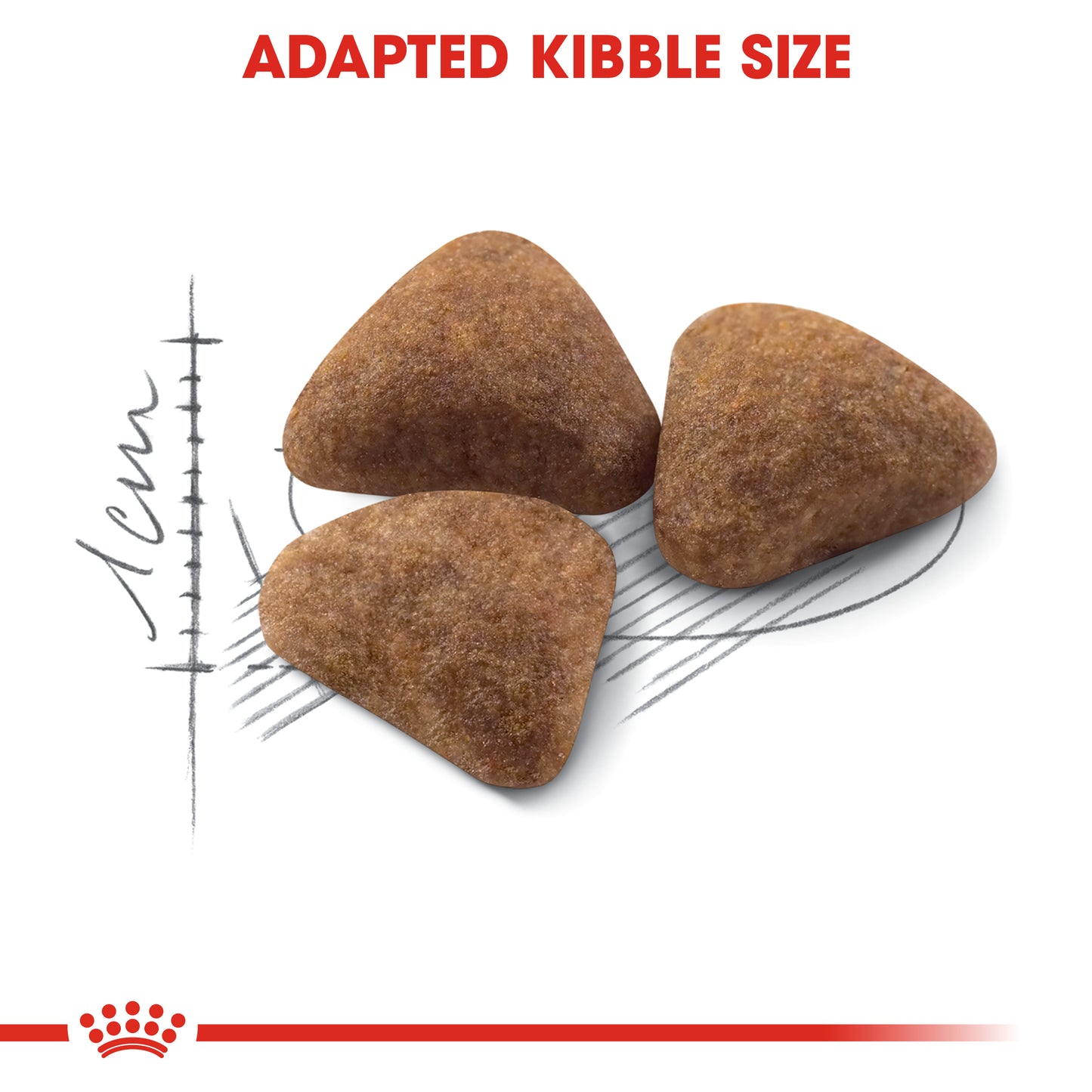Royal Canin Feline Health Nutrition Indoor 27 Dry Cat Food 4kg & 10kg