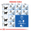 Royal Canin Feline Health Nutrition Indoor 27 Dry Cat Food 4kg & 10kg