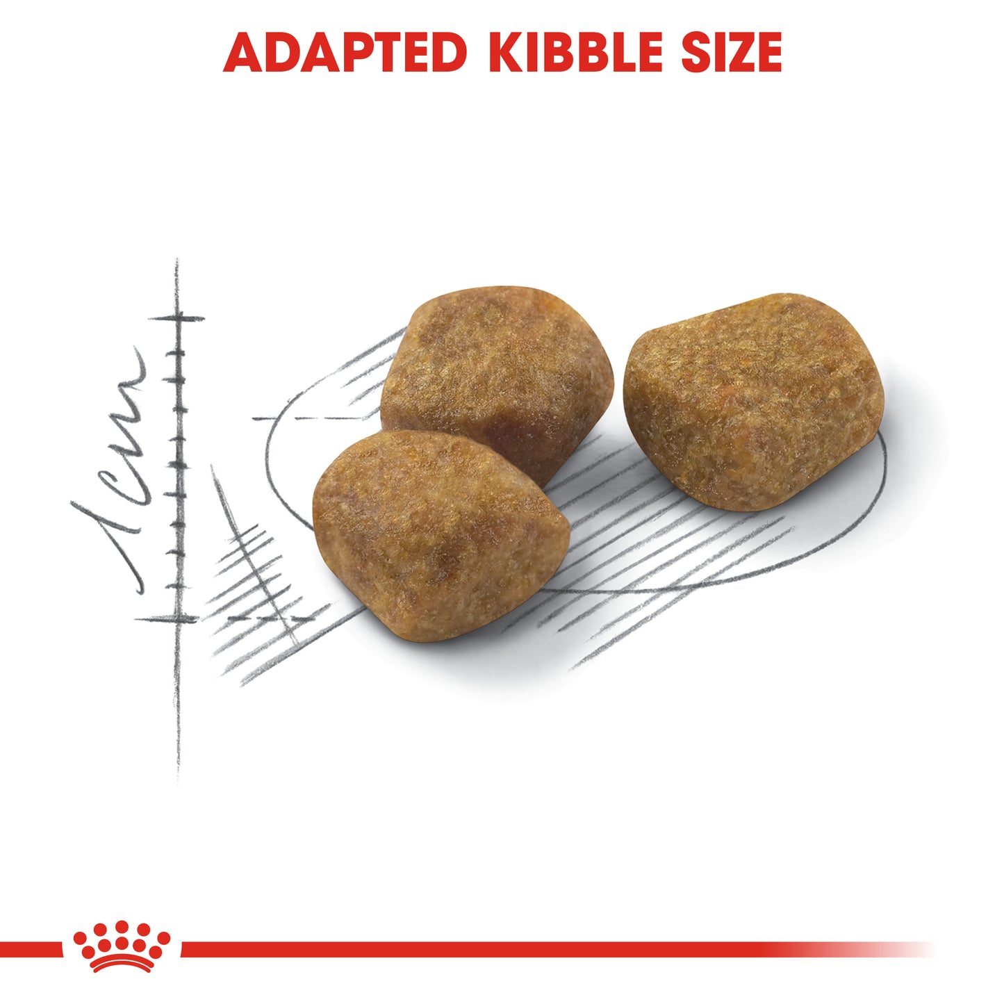 Royal Canin Feline Health Nutrition Indoor 7+ Dry Cat Food 1.5kg & 3.5kg