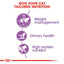 Royal Canin Feline Health Nutrition Sterilised 37 Dry Cat Food 2kg
