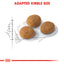 Royal Canin Feline Nutrition Aroma Exigent Dry Cat Food 2kg & 4kg