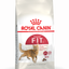 Royal Canin Health Nutrition Fit 32 Dry Cat Food 400g