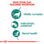 Royal Canin Feline Nutrition Instinctive 7+ Adult Pouch Cat Food 85g x 12