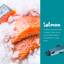 Loveabowl Grain Free Dry Dog Food (Salmon & Snow Crab)