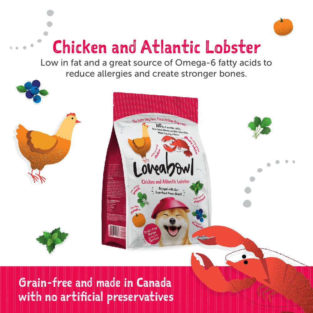 Loveabowl Grain Free Dry Dog Food (Chicken & Lobster)