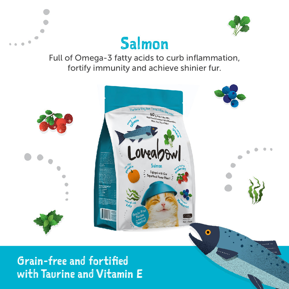 Loveabowl Grain Free Dry Cat Food (Salmon)