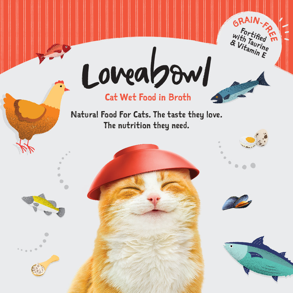 Loveabowl Broth Wet Cat Food 70g