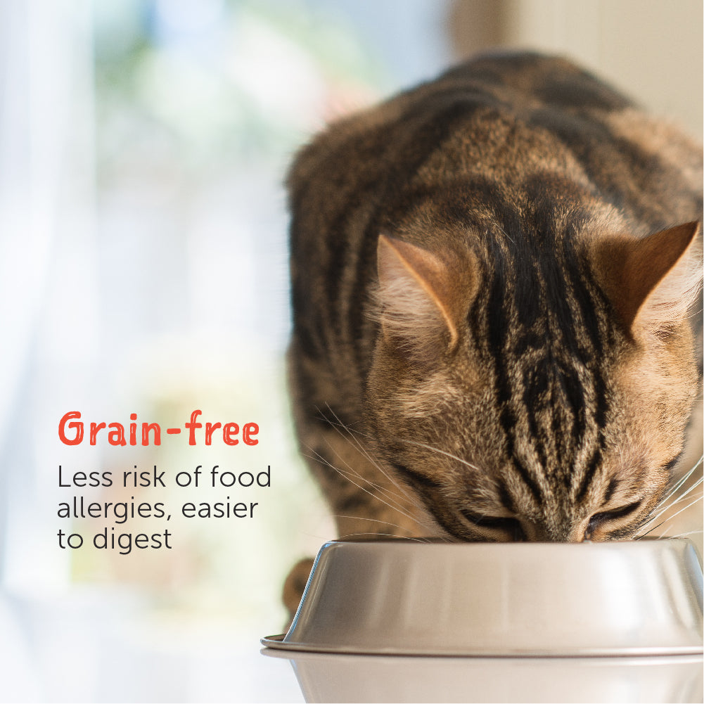Loveabowl Broth Wet Cat Food 70g