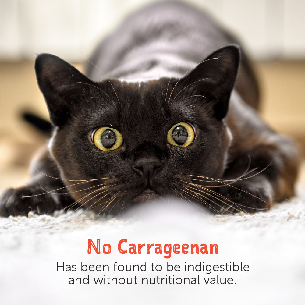 Loveabowl Broth Wet Cat Food 70g