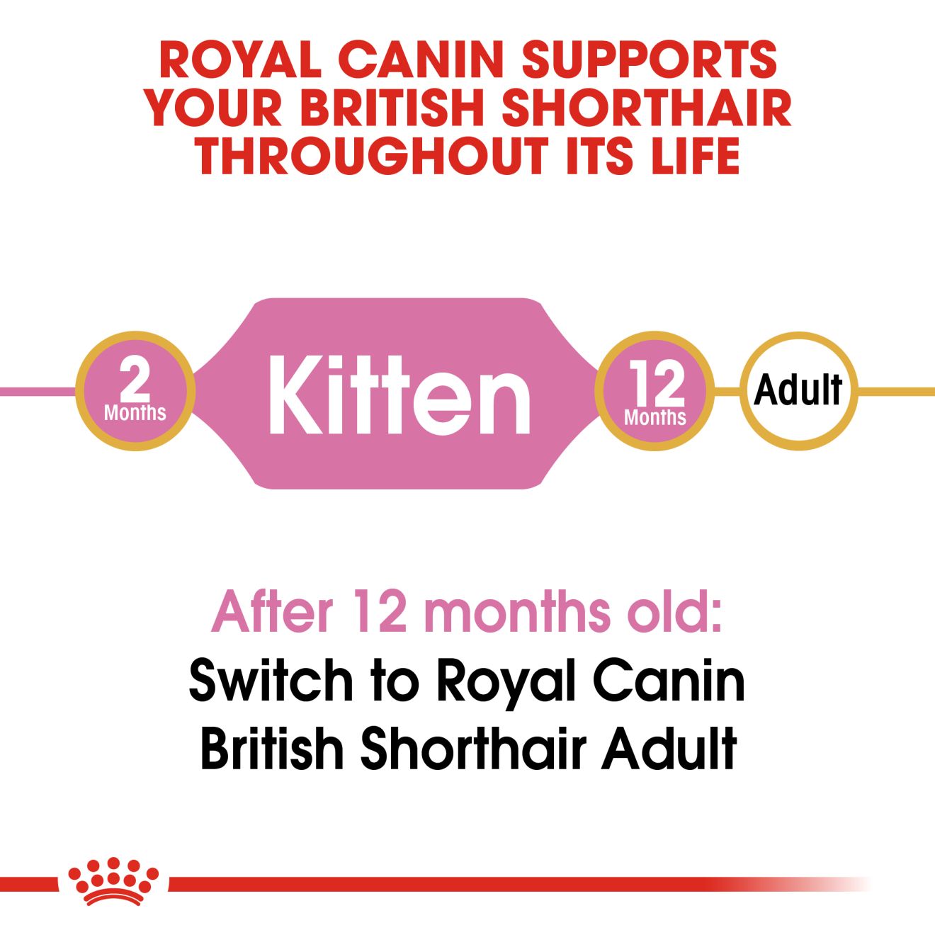 Royal Canin British Shorthair Kitten Cat Dry Food 400g