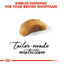 Royal Canin British Shorthair Kitten Cat Dry Food 400g