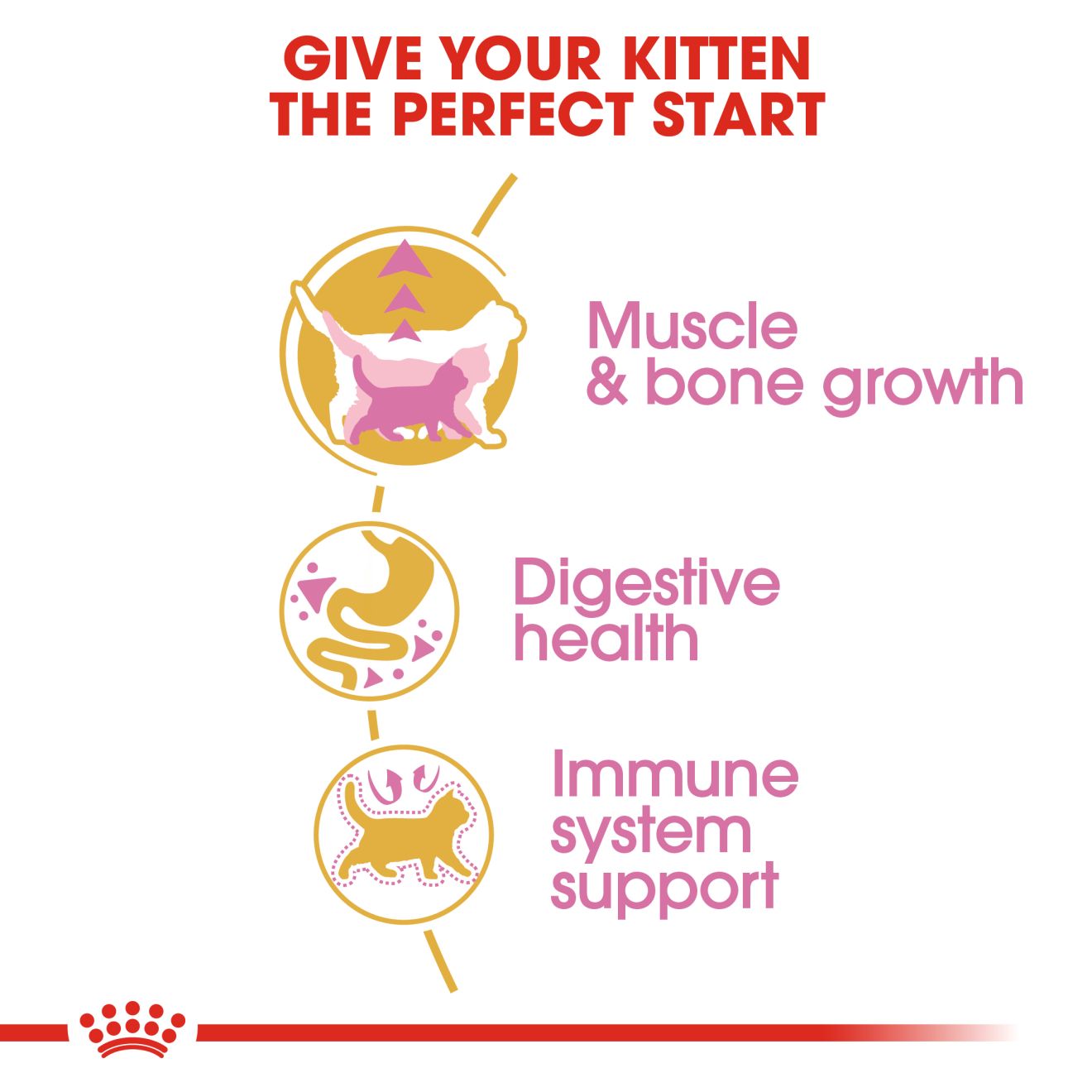 Royal Canin British Shorthair Kitten Cat Dry Food 400g