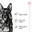 Royal Canin Canine Maxi Adult 5+ Dry Dog Food 15kg