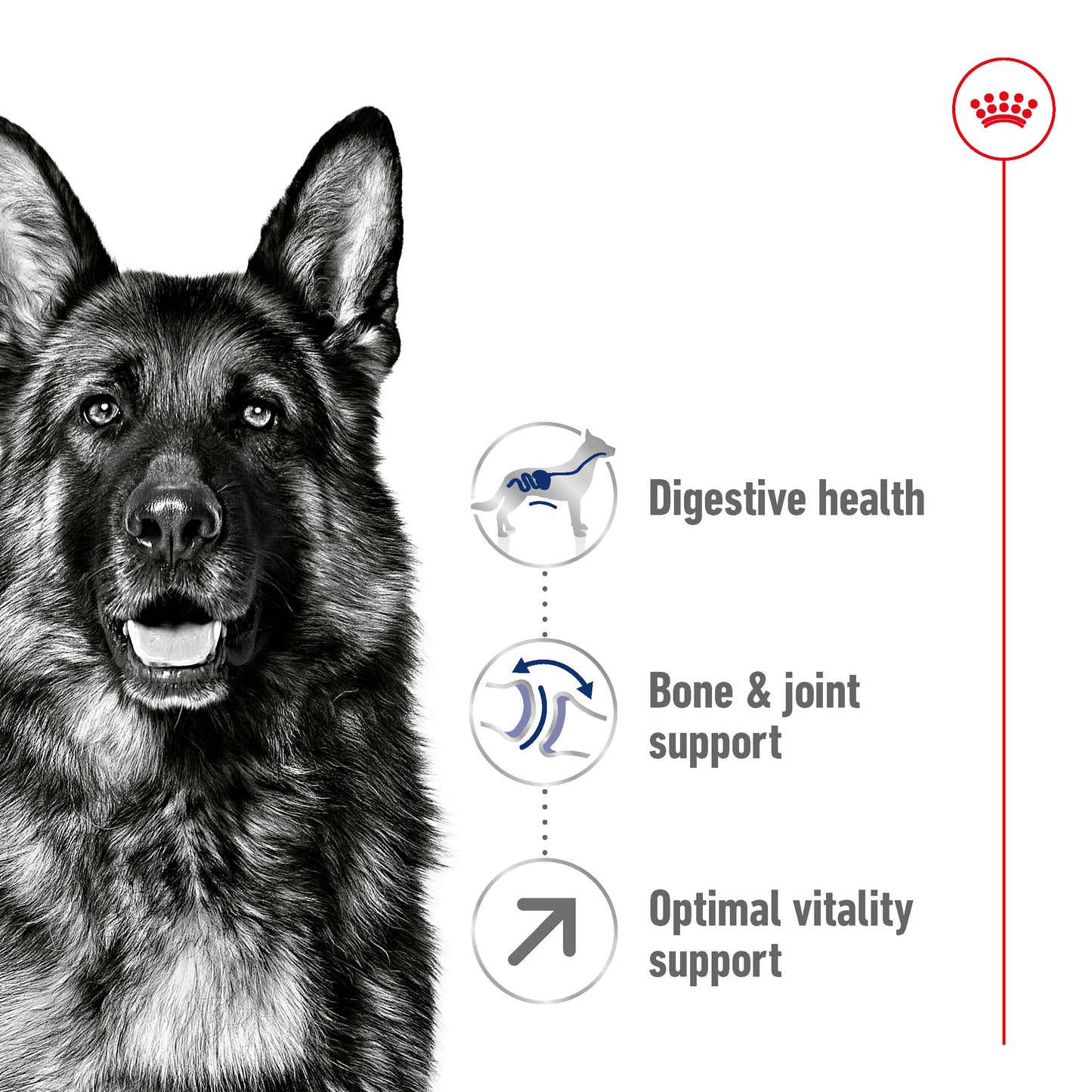Royal Canin Canine Maxi Adult 5+ Dry Dog Food 15kg