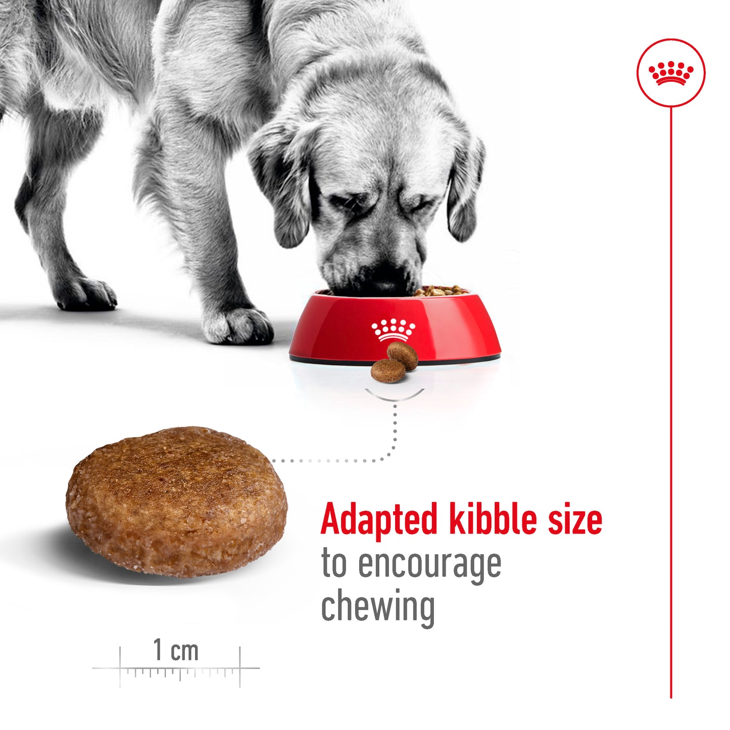 Royal Canin Canine Maxi Adult 5+ Dry Dog Food 15kg