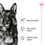 Royal Canin Canine Maxi Adult Dry Dog Food 4kg & 10kg