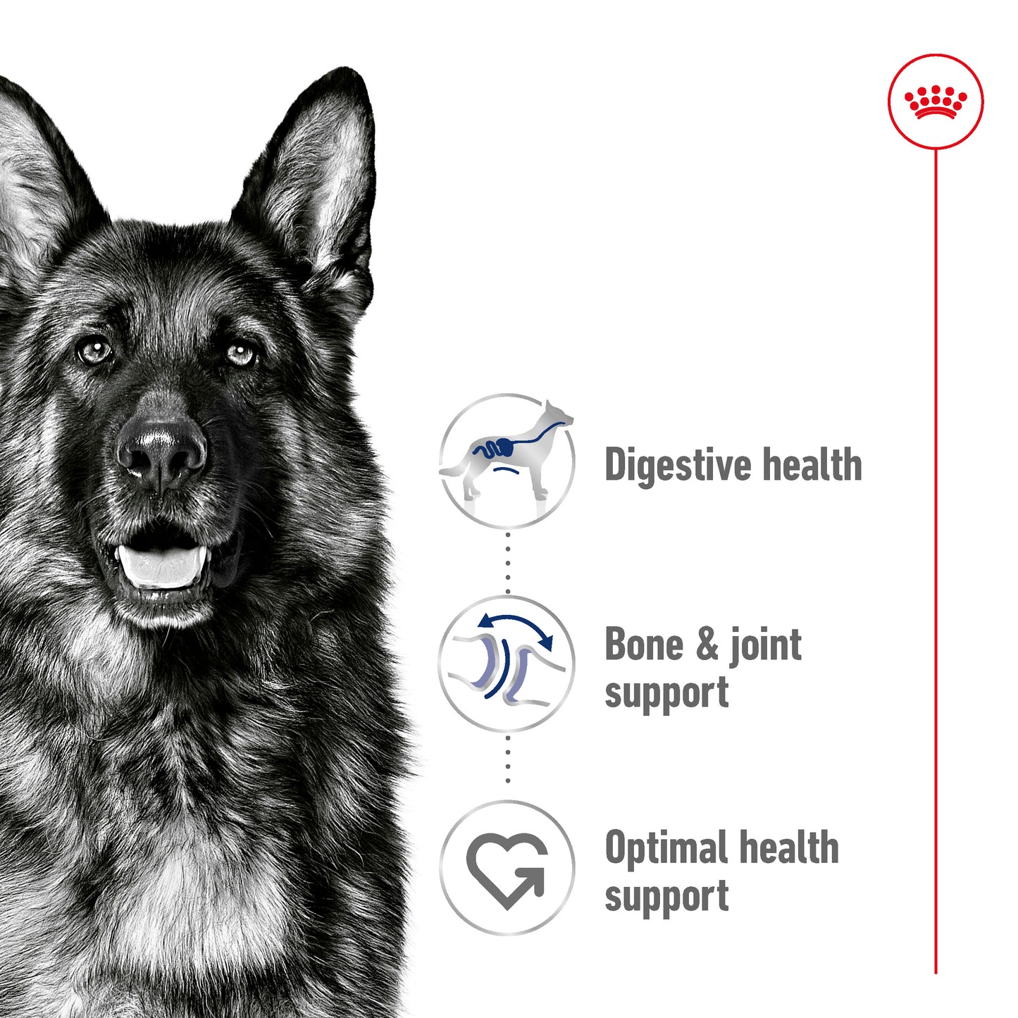 Royal Canin Canine Maxi Adult Dry Dog Food 4kg & 10kg