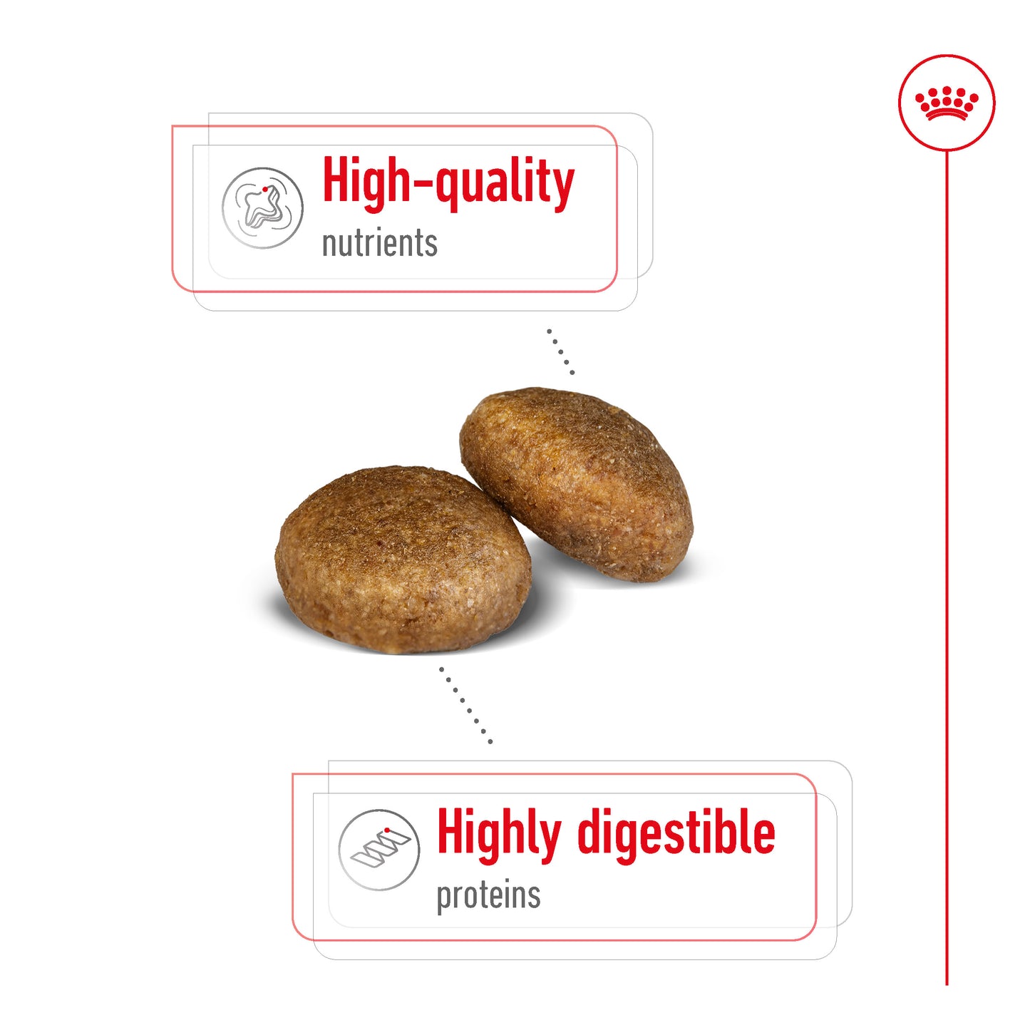 Royal Canin Canine Maxi Adult Dry Dog Food 4kg & 10kg