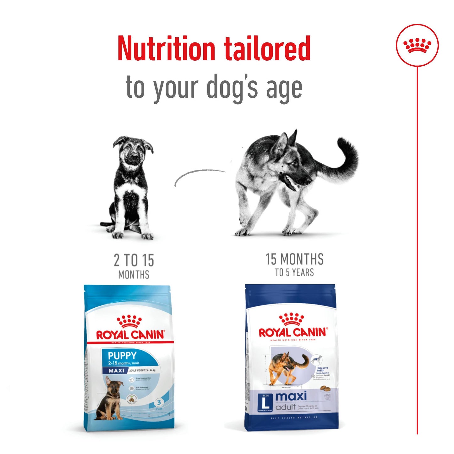Royal Canin Canine Maxi Adult Dry Dog Food 4kg & 10kg