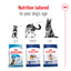 Royal Canin Canine Maxi Adult Dry Dog Food 4kg & 10kg