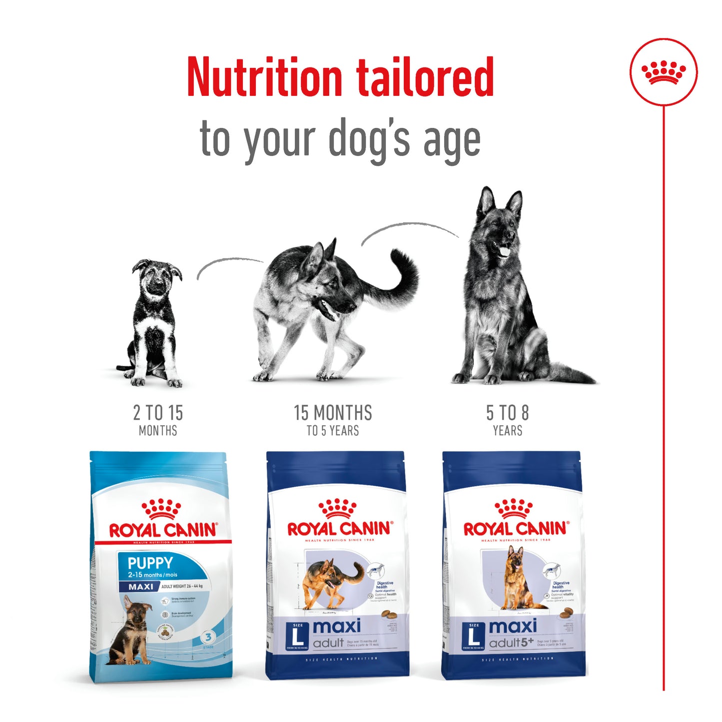 Royal Canin Canine Maxi Adult Dry Dog Food 4kg & 10kg