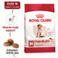 Royal Canin Canine Medium Adult 7+ Dry Dog Food 10kg