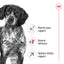 Royal Canin Canine Medium Adult 7+ Dry Dog Food 10kg