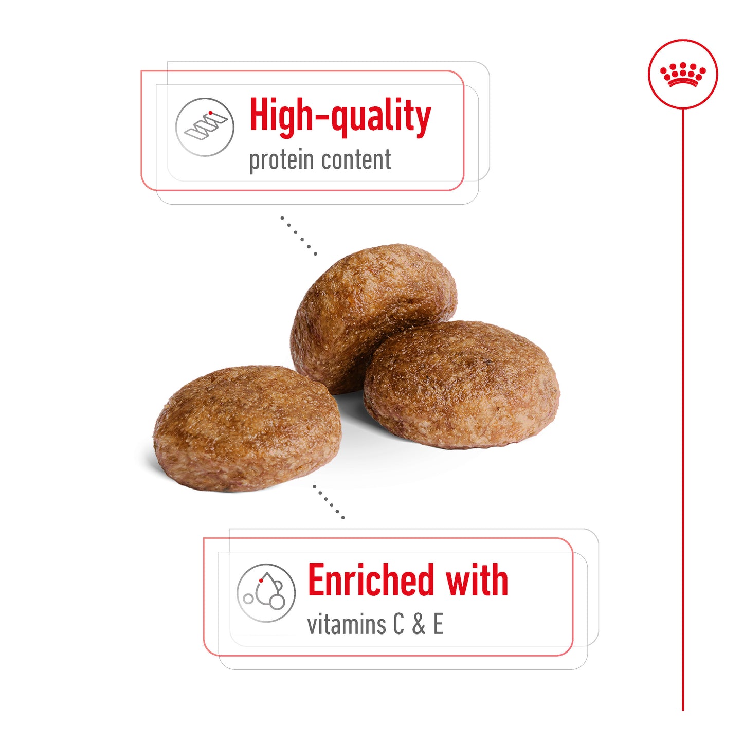 Royal Canin Canine Medium Adult 7+ Dry Dog Food 10kg