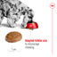 Royal Canin Canine Medium Adult 7+ Dry Dog Food 10kg