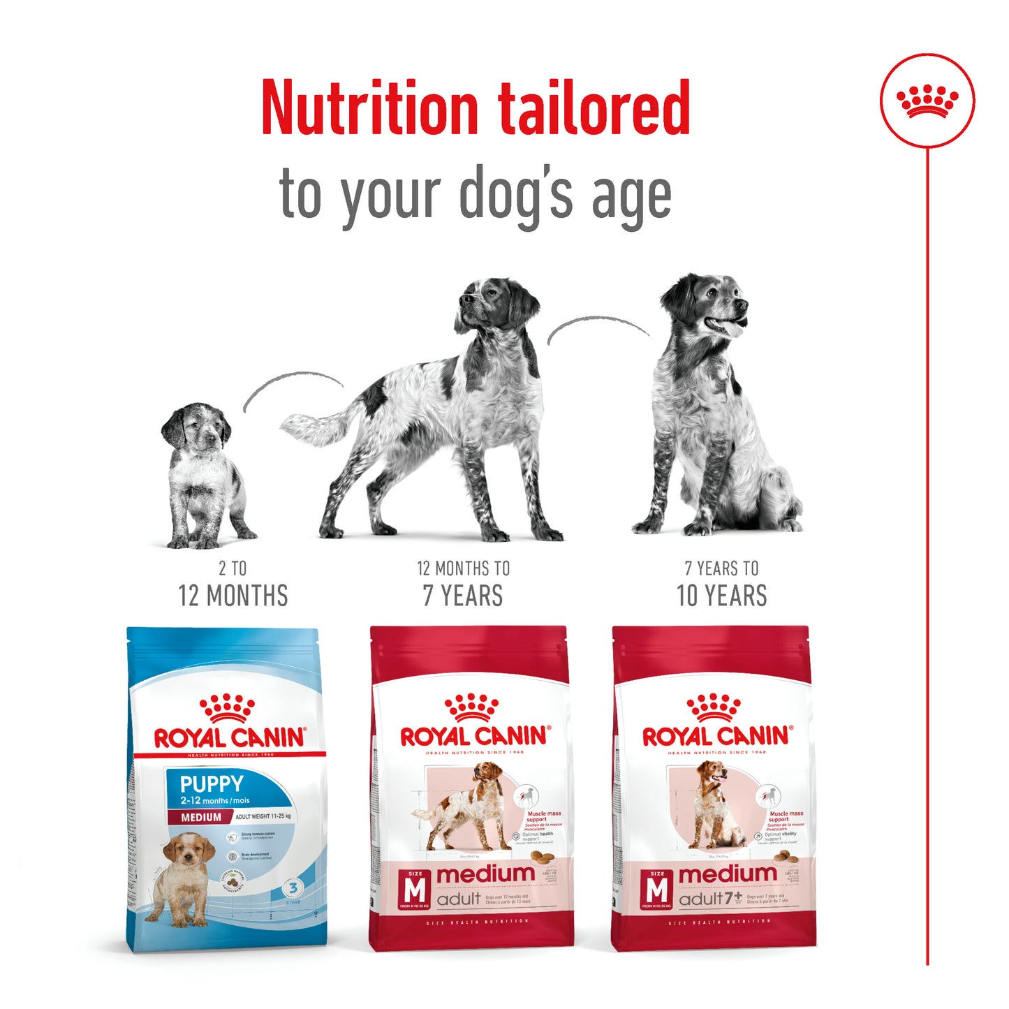 Royal Canin Canine Medium Adult 7+ Dry Dog Food 10kg