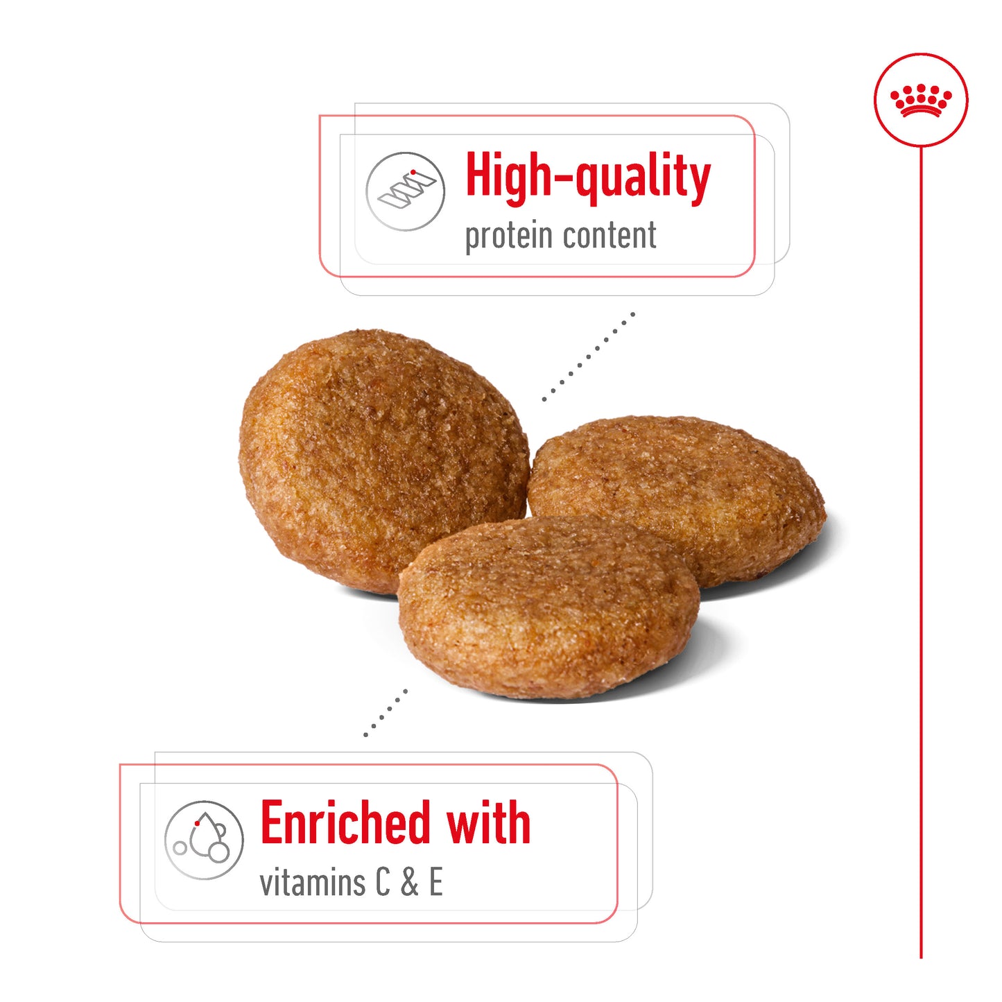 Royal Canin Canine Medium Adult Dry Dog Food 4kg & 10kg