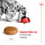Royal Canin Canine Medium Adult Dry Dog Food 4kg & 10kg
