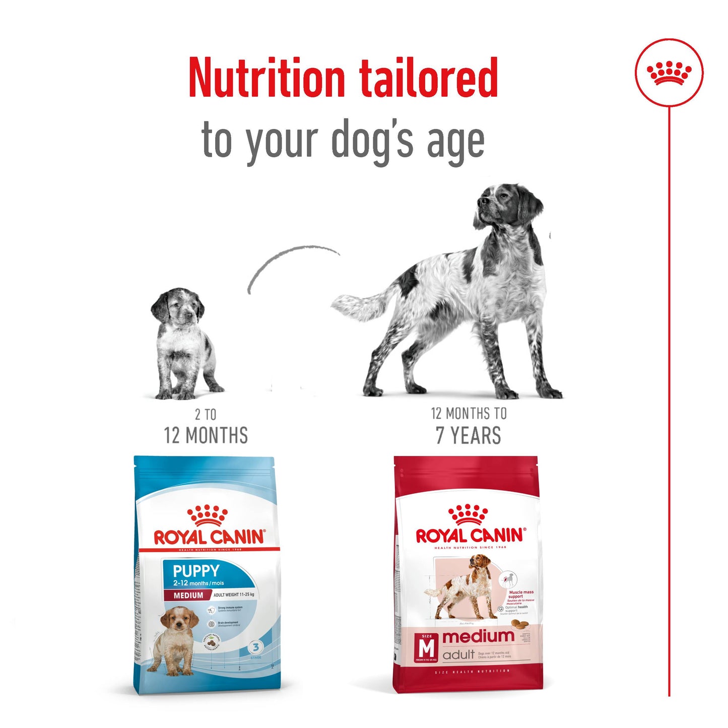Royal Canin Canine Medium Adult Dry Dog Food 4kg & 10kg