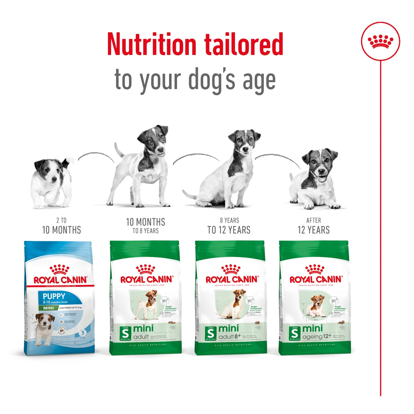 Royal Canin Canine Mini Adult 8+ Dry Dog Food 2kg
