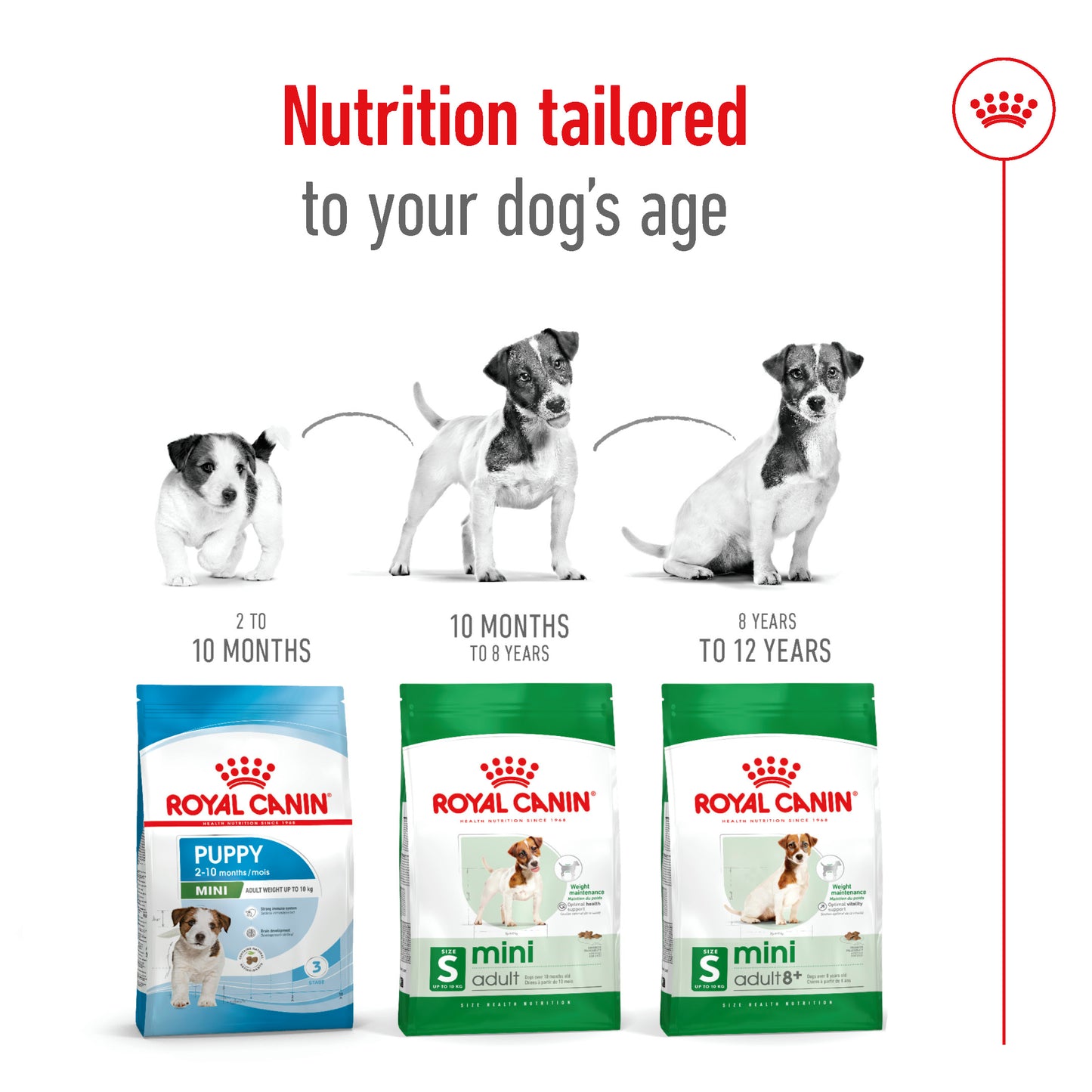 Royal Canin Canine Mini Adult 8+ Dry Dog Food 2kg