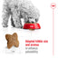 Royal Canin Canine Mini Adult Dry Dog Food 2kg - 8kg