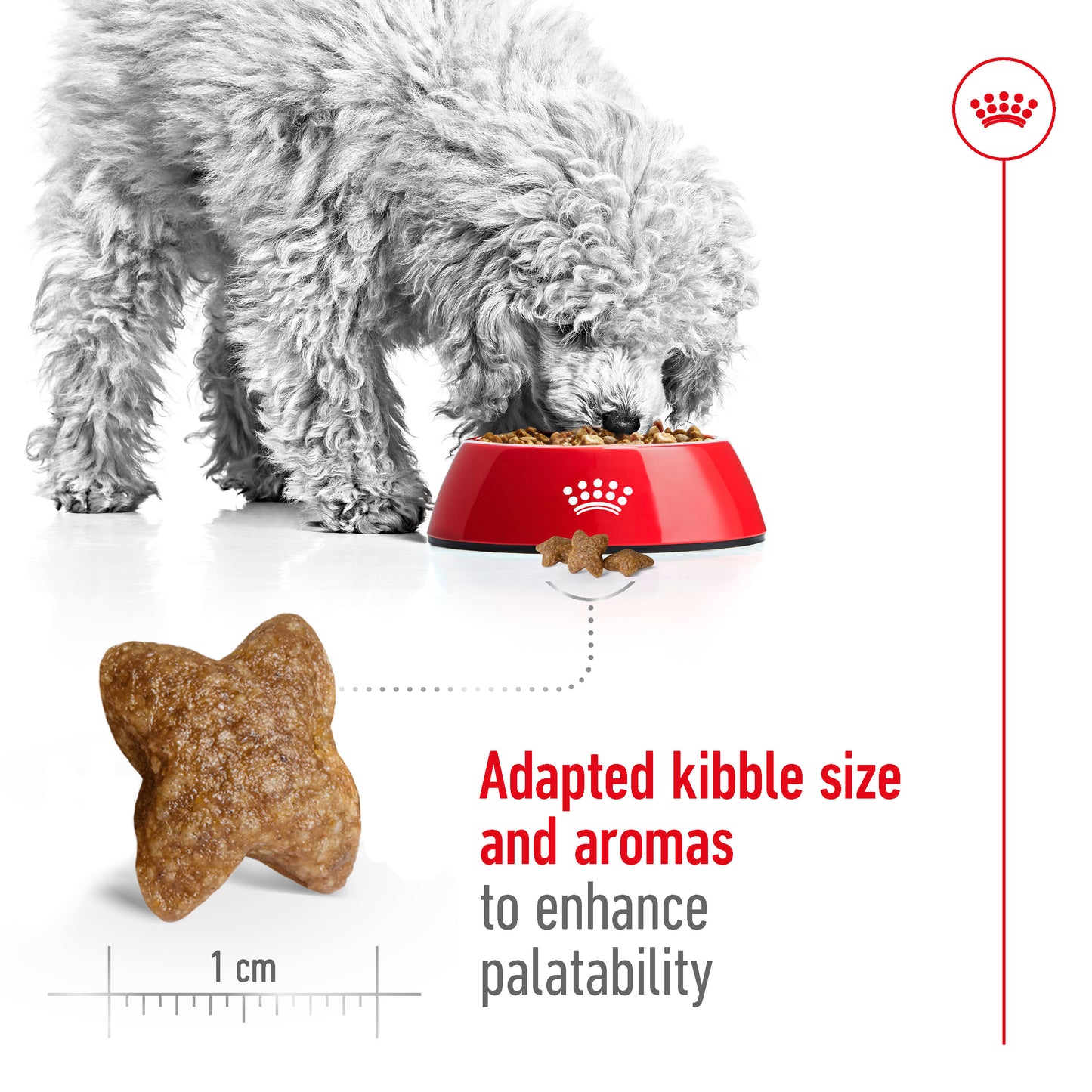 Royal Canin Canine Mini Adult Dry Dog Food 2kg - 8kg