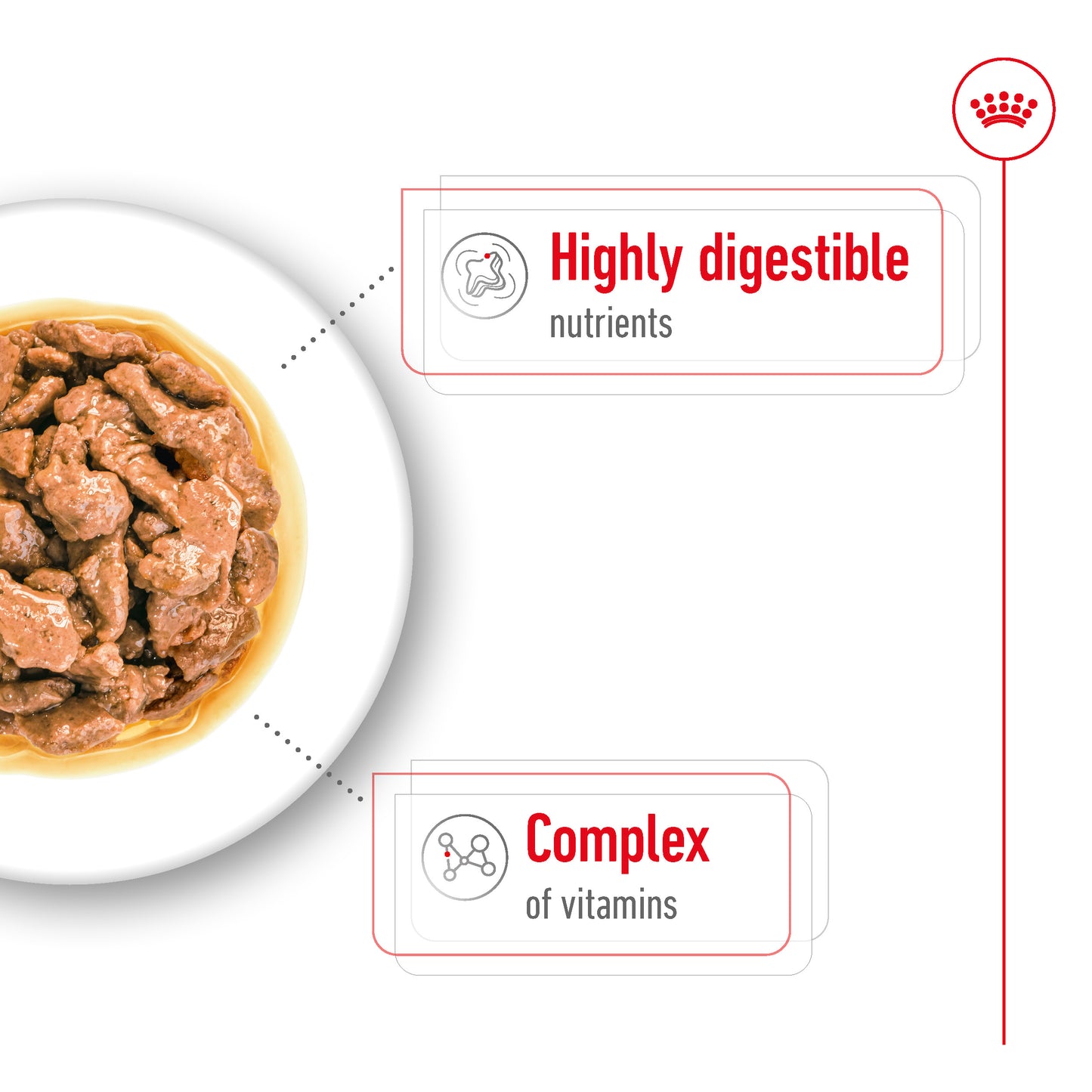 Royal Canin Mini Adult Pouch Wet Dog Food 85g x 12