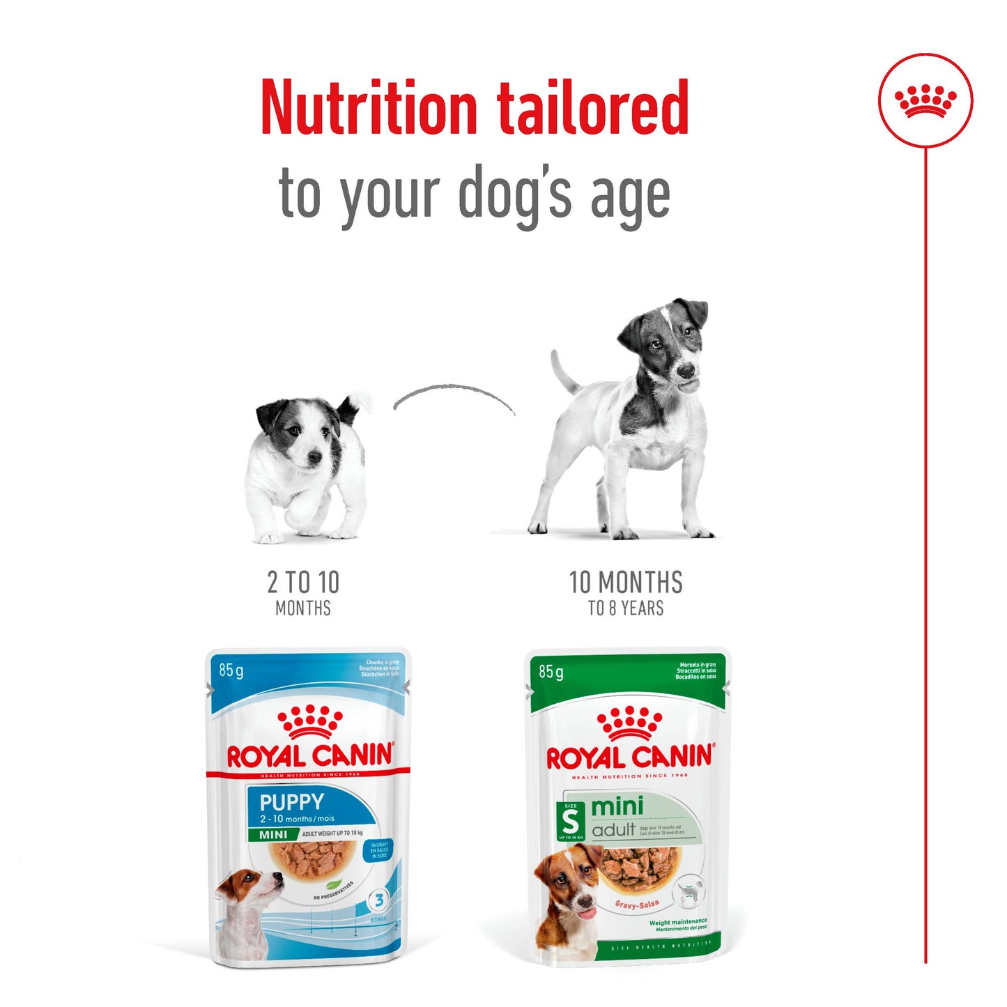 Royal Canin Mini Adult Pouch Wet Dog Food 85g x 12