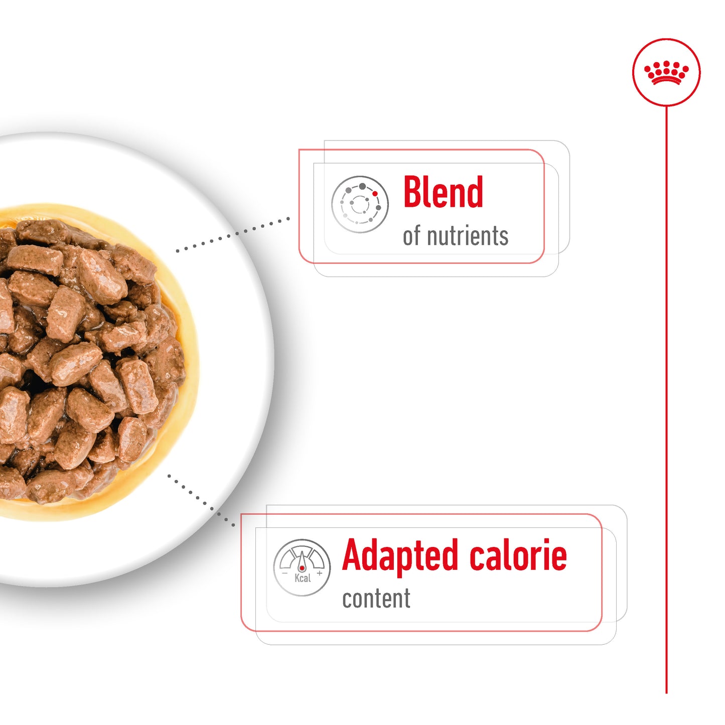 Royal Canin Mini Ageing Pouch Wet Dog Food 85g x 12