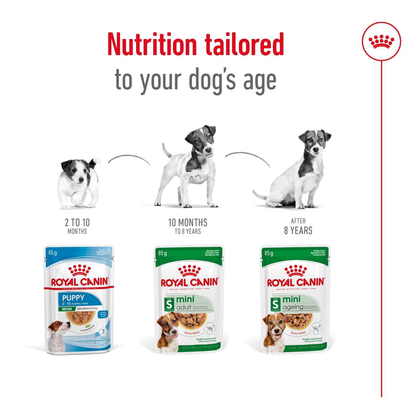 Royal Canin Mini Ageing Pouch Wet Dog Food 85g x 12
