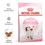 Royal Canin Kitten Stage 3 Cat Dry Food 4kg & 10kg