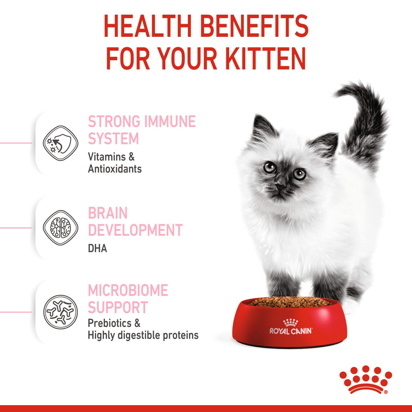 Royal Canin Kitten Stage 3 Cat Dry Food 400g & 2kg
