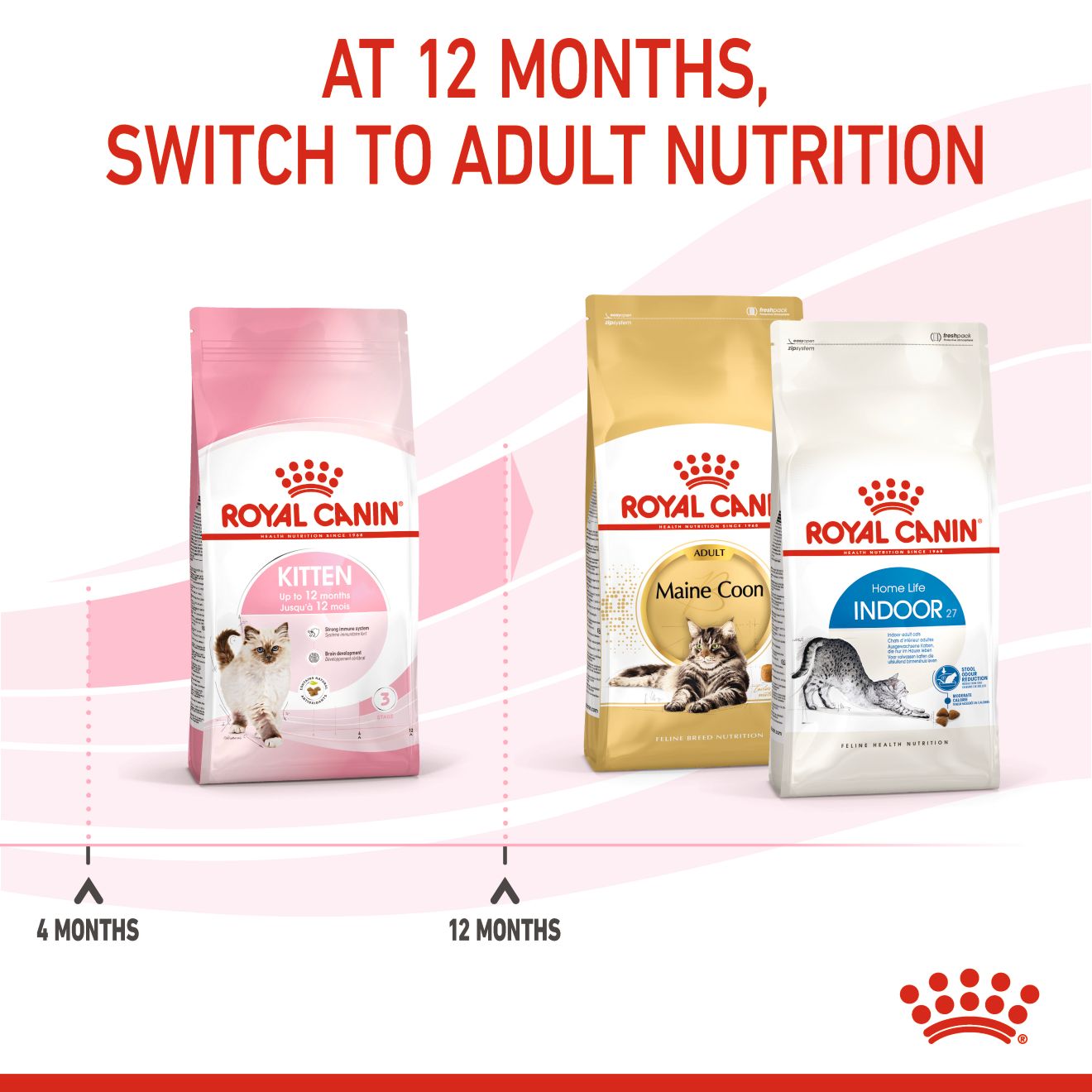 Royal Canin Kitten Stage 3 Cat Dry Food 4kg & 10kg