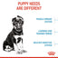 Royal Canin Maxi Puppy Dry Dog Food 10kg