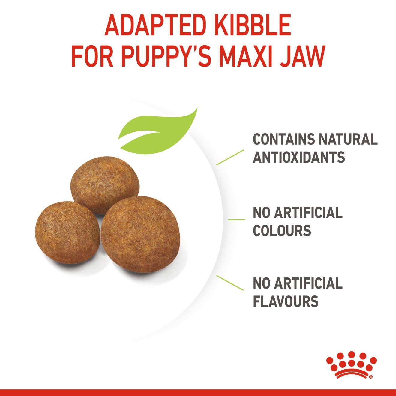 Royal Canin Maxi Puppy Dry Dog Food 10kg