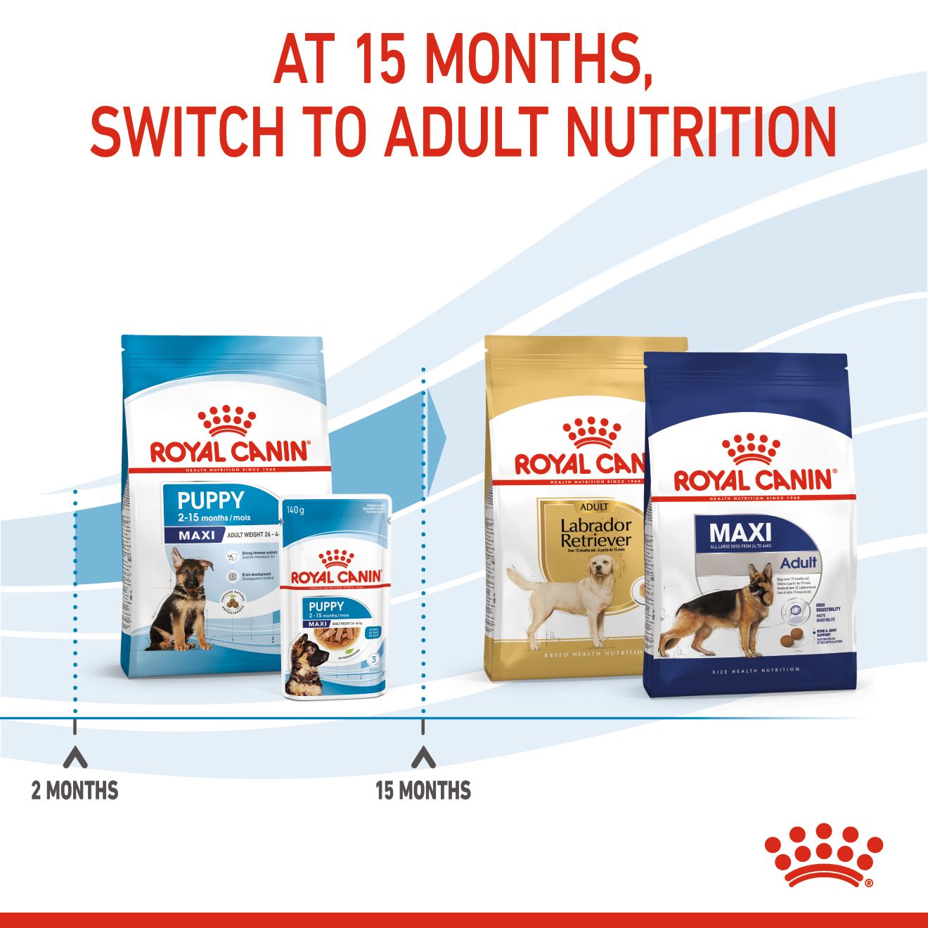 Royal Canin Maxi Puppy Dry Dog Food 10kg