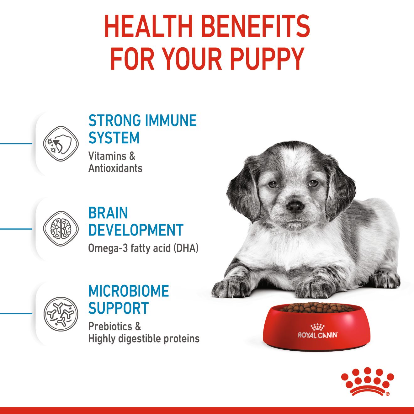 Royal Canin Medium Puppy Dry Dog Food 4kg & 10kg