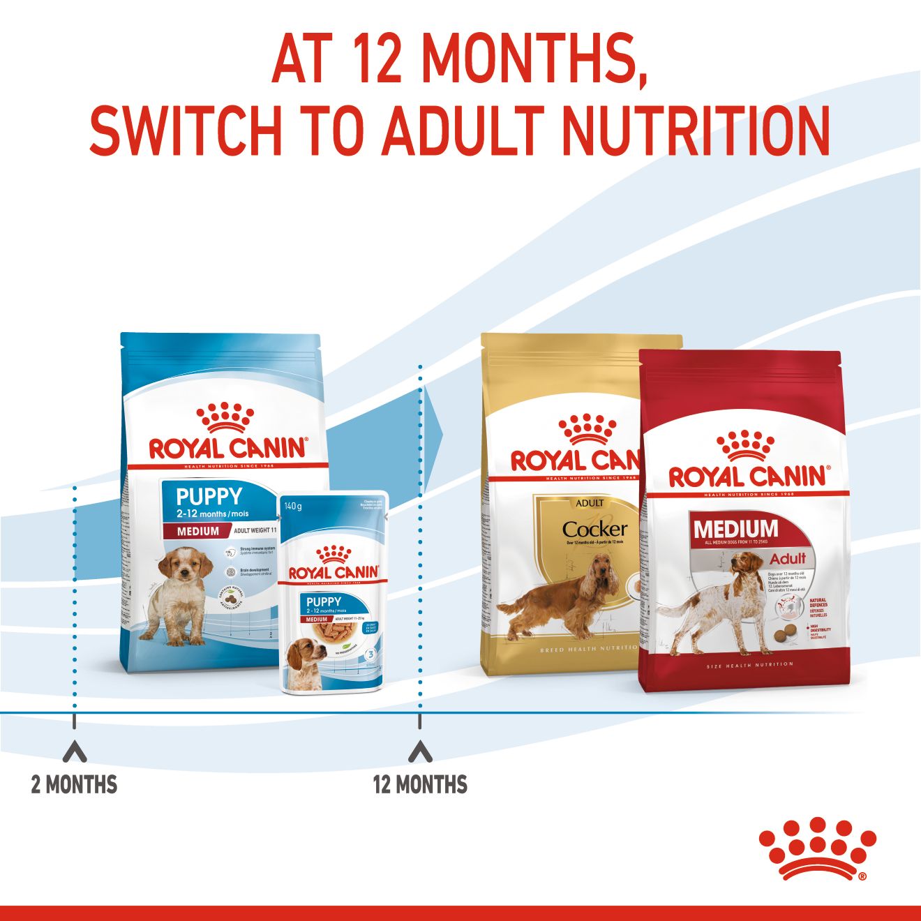 Royal Canin Medium Puppy Dry Dog Food 4kg & 10kg