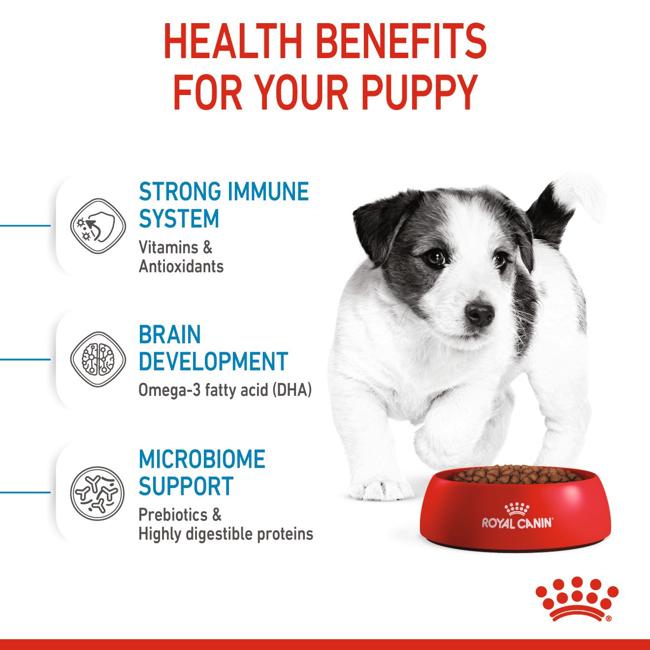 Royal Canin Mini Puppy Dry Dog Food 2kg & 4kg